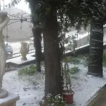 Di Miscio 3*