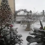 Di Miscio