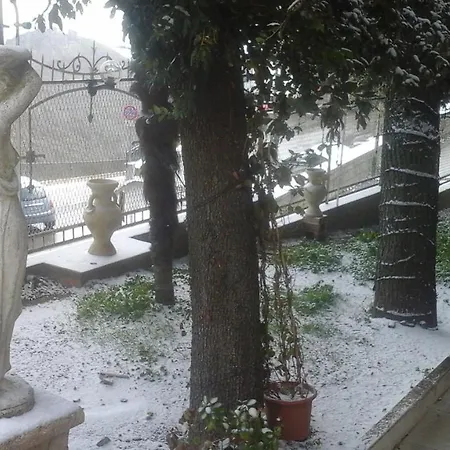 Di Miscio 3*