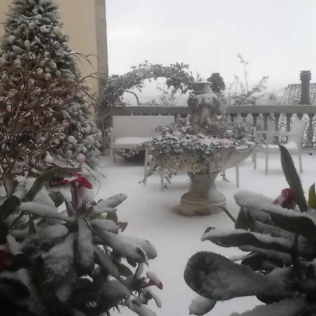 Di Miscio