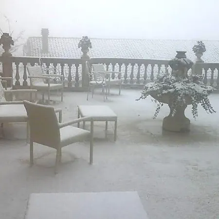 Di Miscio