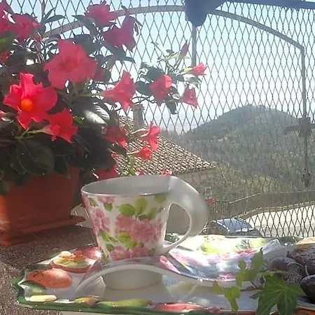 Di Miscio 3*